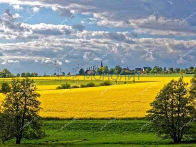 земельный участок 4 200 соток улица Хлеборобов село Арапово